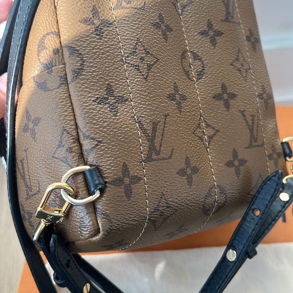 Palm Springs Mini Reverse Monogram - Picture 16 of 17